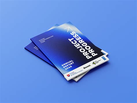 UNDP Releases 2024 Slovak Transformation Fund Annual Report ...