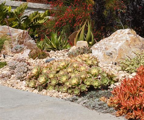 Best fire-resistant plants – 8 groundcovers,…