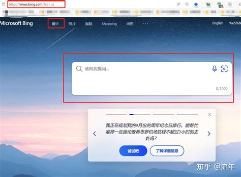 Bing 设置 的图像结果