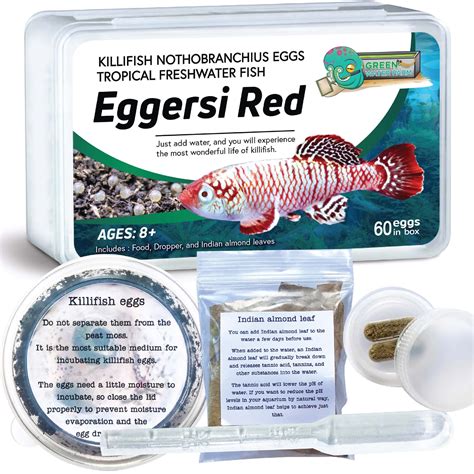 Buy GreenWaterFarm Killifish Eggs Nothobranchius [Eggersi Red ...