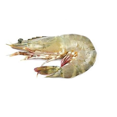Bengali Fish Corner Hybrid White Tiger Prawn Chapra Chingri Venami ...