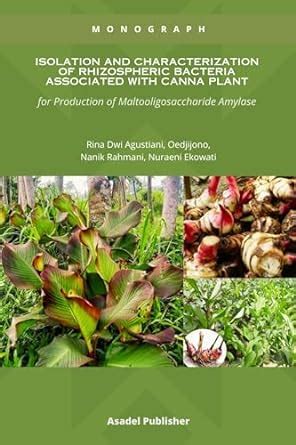 Isolation and Characterization of Rhizospheric Bacteria Associated with ...