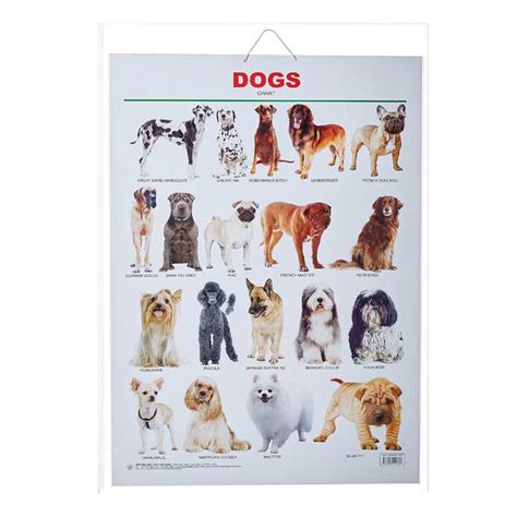 Dogs (Early Learning Chart) – Chirukaanuka