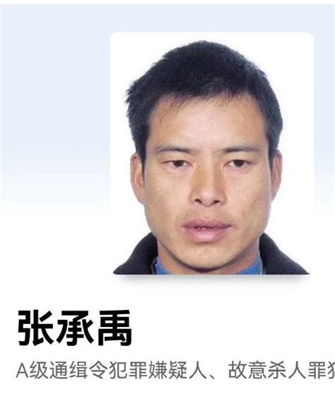 12月1日据澎湃新闻，#杀害6人的A级通缉犯张承禹已被枪决，曾逃亡11年-度小视