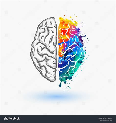 Left Right Hemisphere 的图像结果