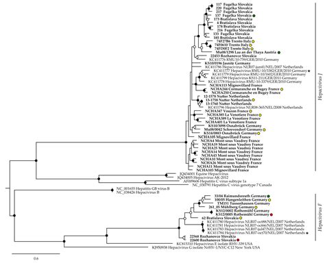 Geographical Distribution and Genetic Diversity of Bank Vole ...