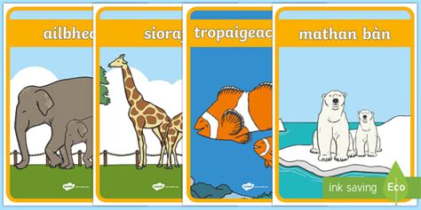 The Zoo Animal Enclosure Signs (teacher made) - Twinkl