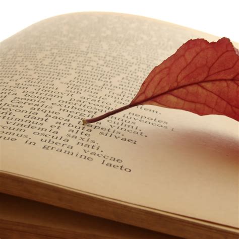 Another Poem – Delhi Poetry Slam