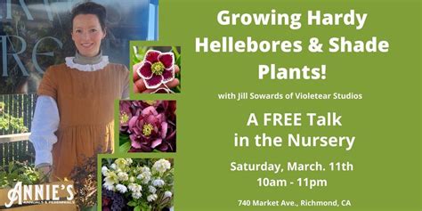 Growing Hardy Hellebores & Shade Plants, Annie's Annuals & Perennials ...