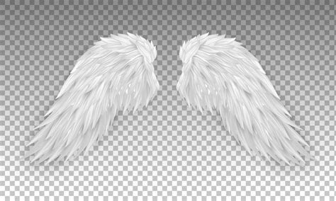 Angel wings png Vectors - Download Free High-Quality Vectors from ...