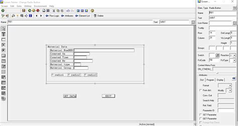 Radio Button in Module Pool Programming 的图像结果