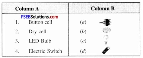 Chapter 1 Computer Science Class 6th PSEB 的图像结果
