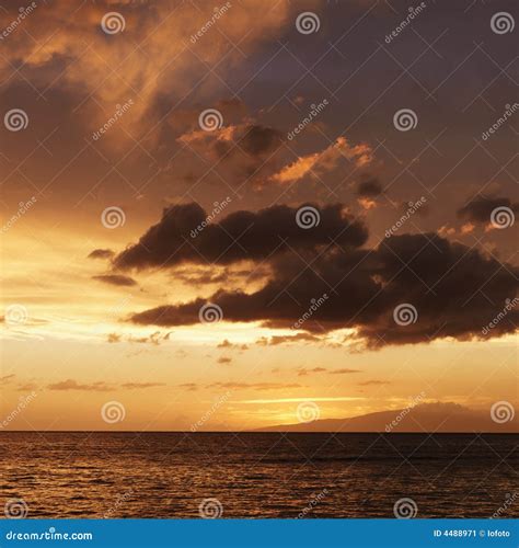 Sunset in Maui Hawaii stock image. Image of golden, vacation - 4488971