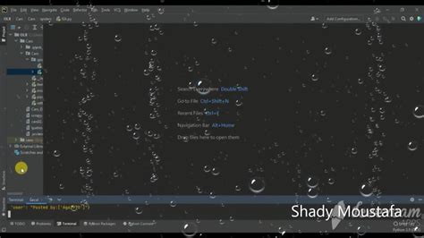 Data Scraping with Python 的图像结果