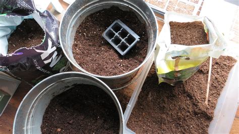 4 DIY Seed Starting Mix Recipes for Any Garden Plant - The Rusted Garden