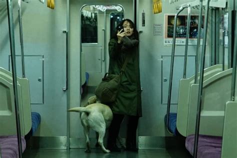 Image result for Playwright Test Script Examples