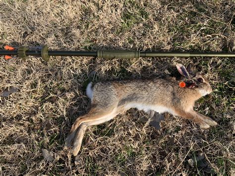 Blowgun Hunting Darts