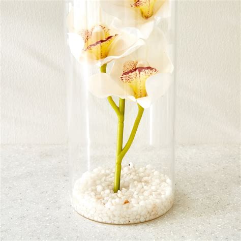 Buy Gloria Prism Artificial Orchids in Glass Pot from Home Centre at ...