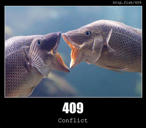 Image result for 409 Status Code