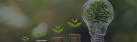 Why–How–Where: A Framework for Successful Investing