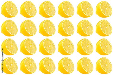 Image result for Lemon Slice Texture