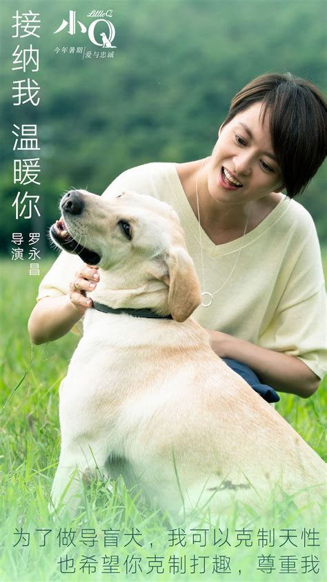 电影《小Q》曝特辑 三个家庭讲述导盲犬无私付出_盲人