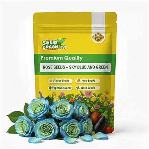 Rose Seeds – Sky Blue and Green