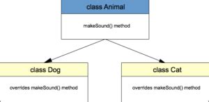 Polymorphism in Java with Example 的图像结果