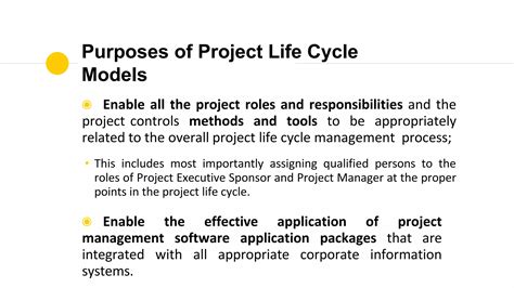 Project Development Cycle 的图像结果