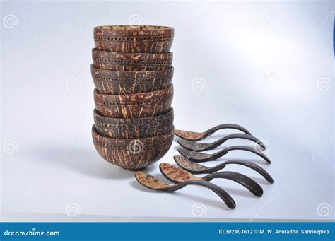 Image result for Craft Using Coconut Shell