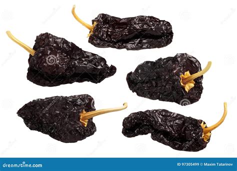 Ancho Mulato-dried Poblano Chiles, Paths Stock Image - Image of ...
