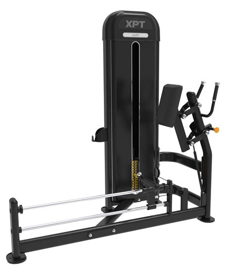 Glute Spread - Your Body's Powerhouse Connection