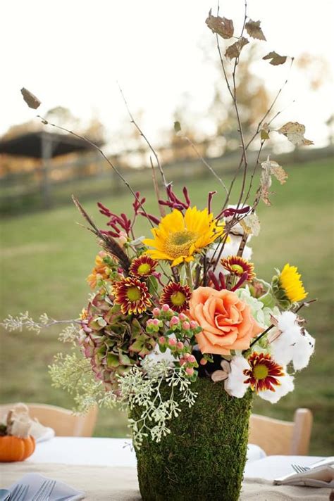 Image result for DIY Java Moss Decorations