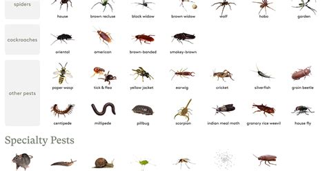 Aptive Basic Plan 的图像结果