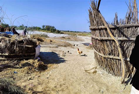 Climate disasters in Pakistan have left women more vulnerable than men