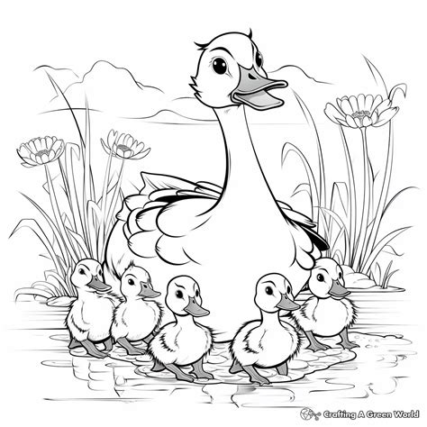 D Is For Duck Coloring Pages - Free & Printable!