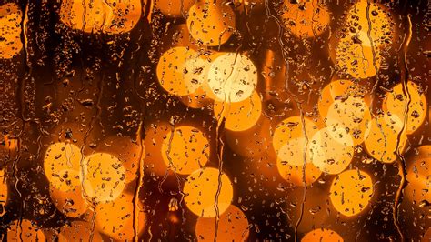 Download wallpaper 2560x1440 glass, drops, glare, close-up widescreen ...