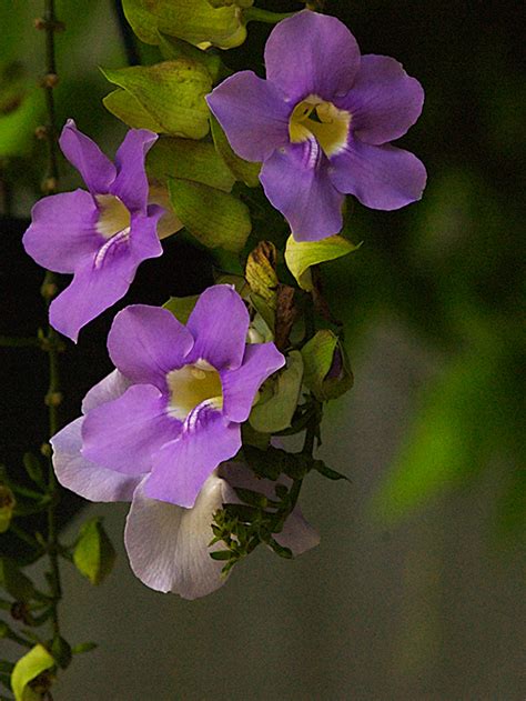 Image result for Color Light On Humans Photography