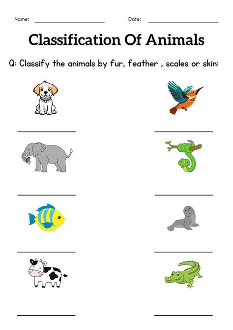 Animal Classification Worksheet 的图像结果