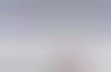 99 Peculiar Public Perches