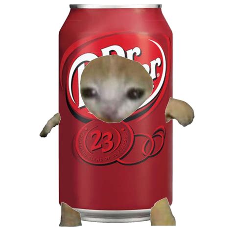 Curious Cat with Dr Pepper Can