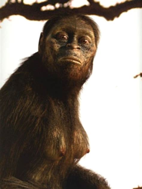 Australopithecus Documentary 的图像结果