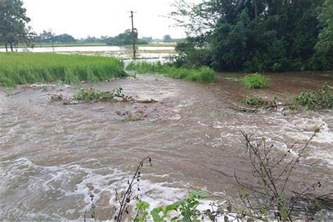 Irrigation tanks filling up fast in Vellore, Tiruvannamalai dists
