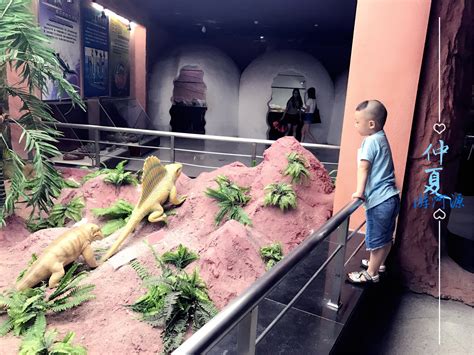 【携程攻略】河源河源恐龙博物馆景点,小朋友愿意去，很小就4个展馆是介绍恐龙的。门票30，有点贵了！