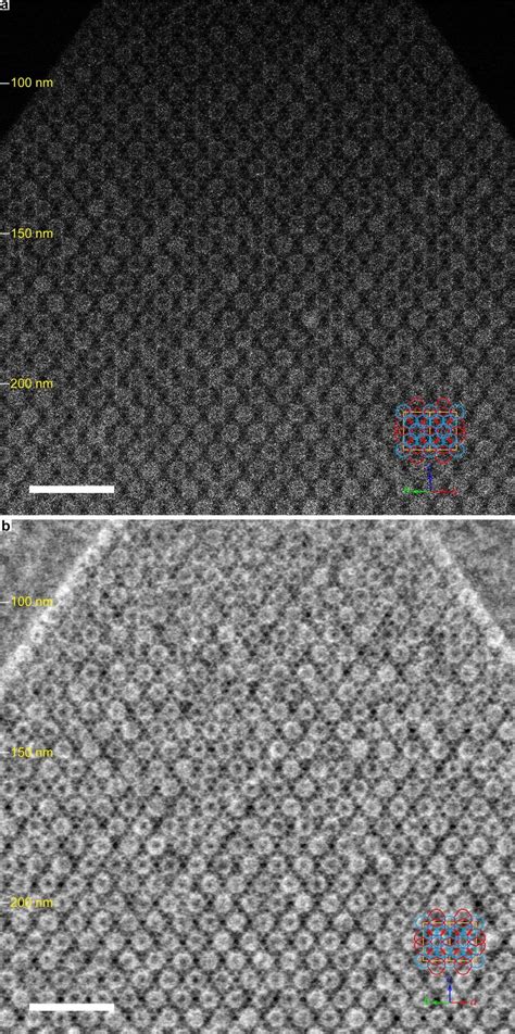 Image result for Stem Fields for TiO2