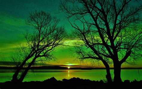 Dark Green Nature 的图像结果