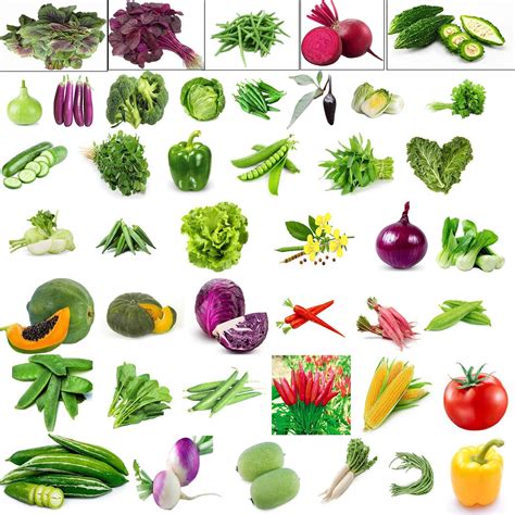 Agnico 50 Variety Of Vegetable Seeds Combo Pack With Instruction Manual ...
