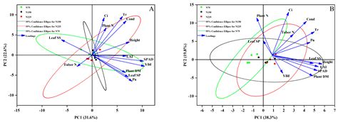 Effect of N Fertilizer Dosage and Base/Topdressing Ratio on Potato Growth Characteristics and Yield