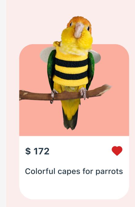 Image result for Flutter Message Card