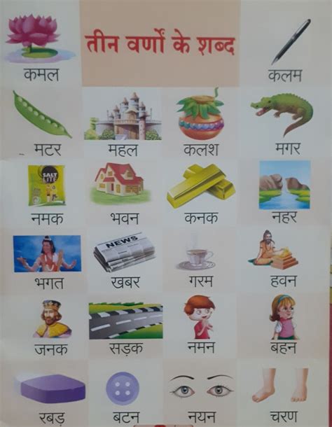 Hindi worksheet match picture with correct word – Artofit